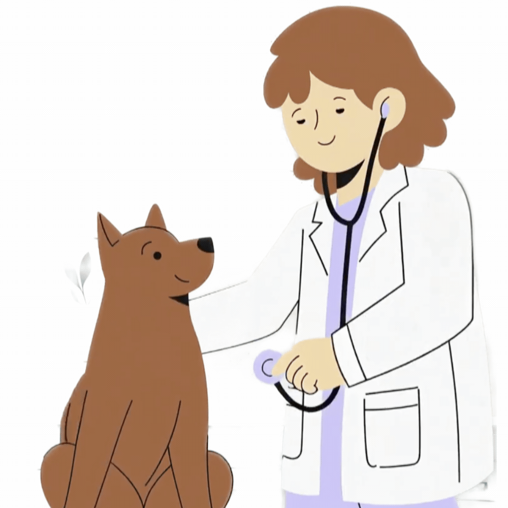 Freelance vet